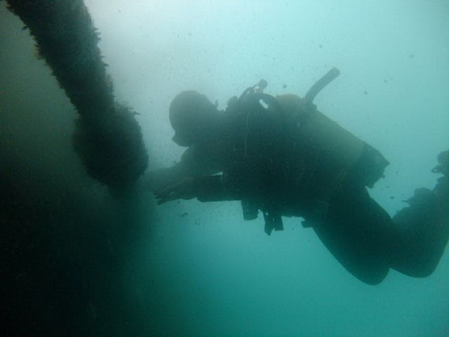 diving.jpg - large